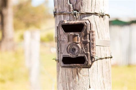 Farm Security Cameras - Outdoor Cameras Australia