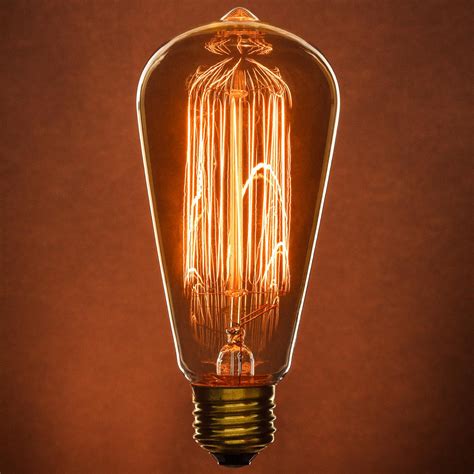 Sunlite 60 Watt Antique Edison Style S19 Incandescent Bulb, Medium Bas ...