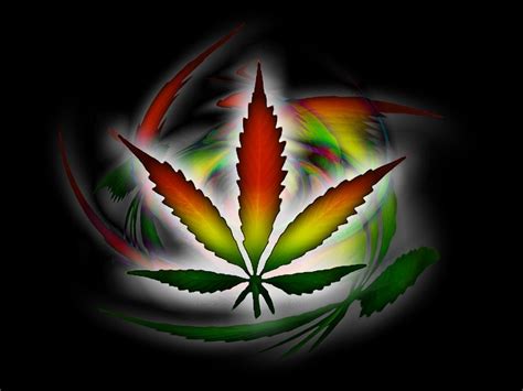 Colorful Weed Wallpapers on WallpaperDog