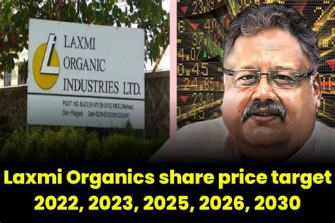 Laxmi Organics share price target 2022, 2023, 2025, 2026, 2030 - CRYPTO DEKHO