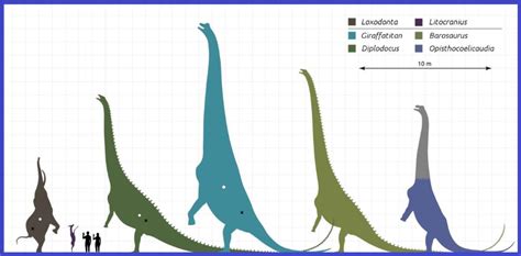 The Biggest Titanosaurus Fossil Discovered? - Leakshare