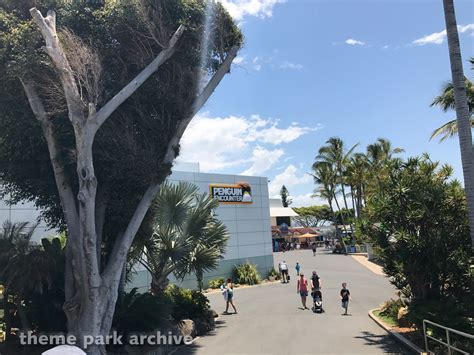 Penguin Encounter at Sea World Gold Coast | Theme Park Archive