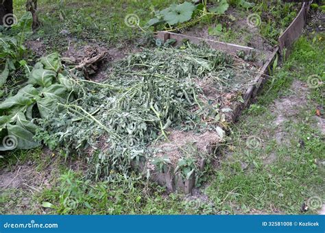 Compost stock photo. Image of environment, fertilizer - 32581008