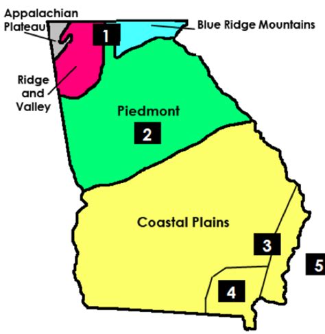 Georgia Regions, Georgia Habitats Diagram | Quizlet