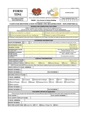 2016-2024 PG Form TIN1 Fill Online, Printable, Fillable, Blank - pdfFiller