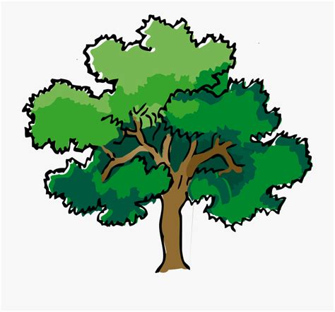 Tree clipart narra, Tree narra Transparent FREE for download on WebStockReview 2023