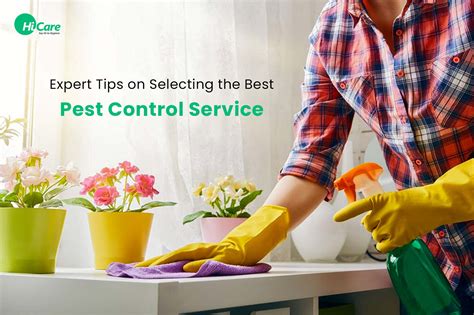 10 Best Tips to Select Best Pest Control Service Near You | HiCare