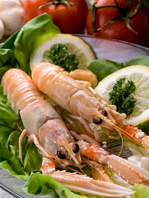 Norway lobster with salad stock photo. Image of langoustine - 18871194