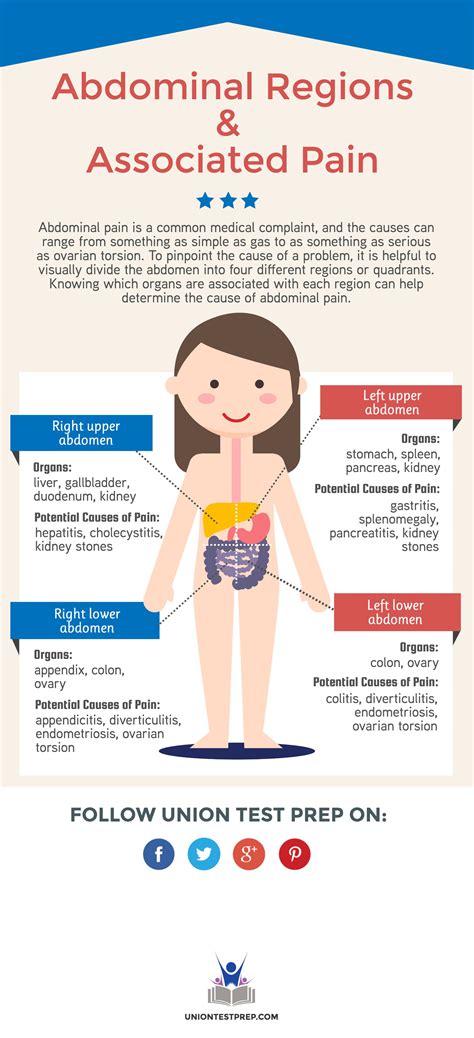 Abdominal Regions and Associated Pain