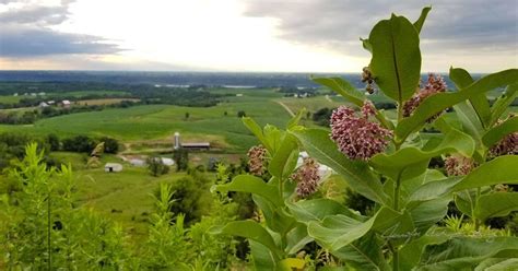 View of farmland and the Upper Mississippi River Valley at the Balltown Scenic Overlook ...