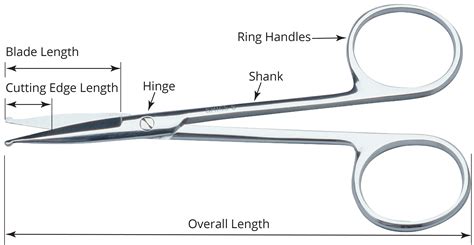 Surgical Instruments C&S Diagram Quizlet