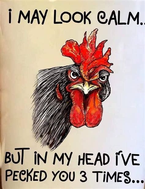 Rooster drawing | Chicken humor, Fun quotes funny, Funny cartoon quotes