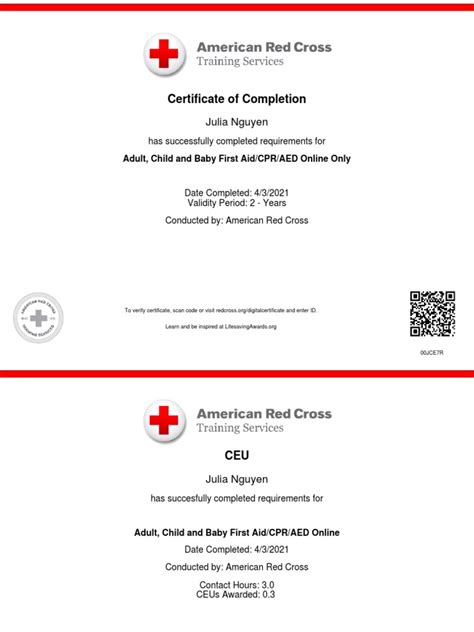 CPR Red Cross Certificate | PDF