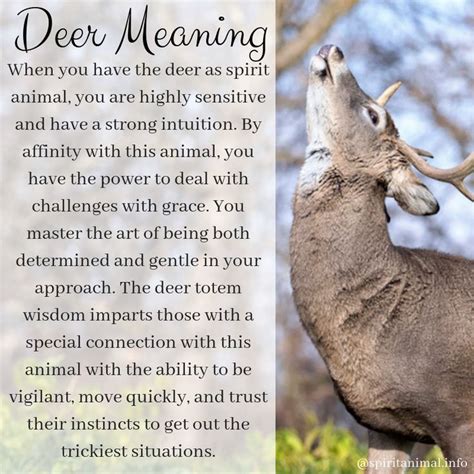 Deer Spirit Animal | Deer Totem Meaning | Animal totem spirit guides ...