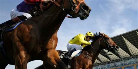 How to create simple punting systems - Champion Bets