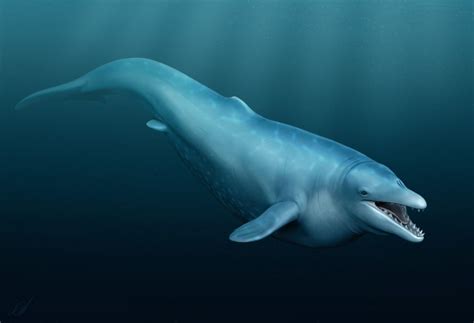 Dorudon, an ancient whale