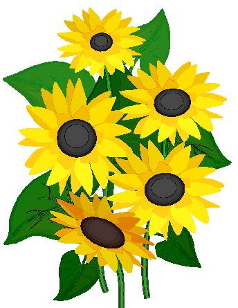 sunflower clipart - Clip Art Library
