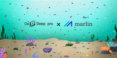 Marlin (@MarlinProtocol) / Twitter