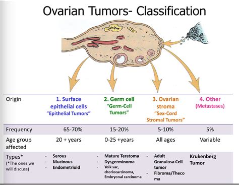 Pathology Of Ovarian Tumors Quick Review Epomedicine | My XXX Hot Girl