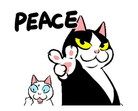 Fat Cat Doing Peace Sign GIF | GIFDB.com