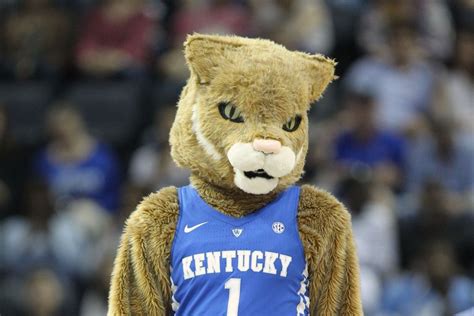 10 New Kentucky Wildcats Mascot Pictures FULL HD 1920×1080 For PC Desktop 2024