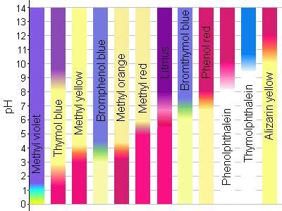 Informal Experiments: How do pH strips work? - Precision Nutrition