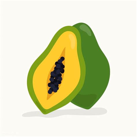 Hand drawn papaya fruit illustration | premium image by rawpixel.com / Aum | Fruit illustration ...