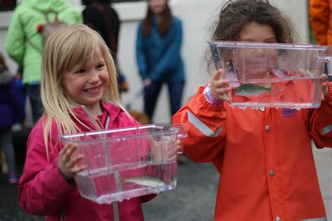 So Long Salmon! | Sitka Sound Science Center - Sitka Sound Science Center