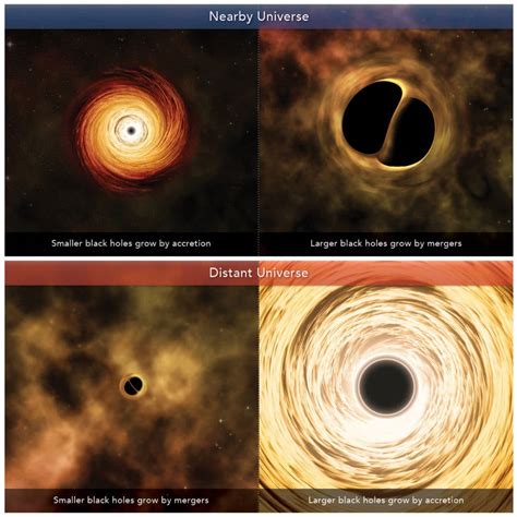 Determining the growth of black holes