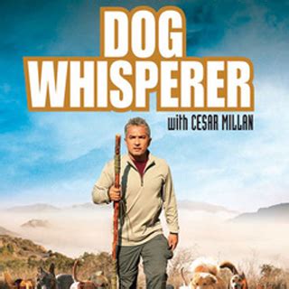 The Dog Whisperer - Episode Data