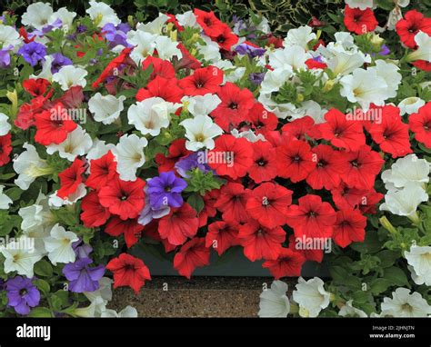 White and blue hi-res stock photography and images - Alamy