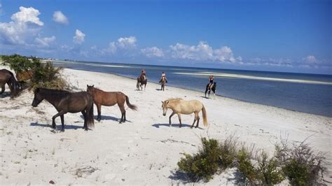 Horseback Riding - Cedar Island Ranch - NC