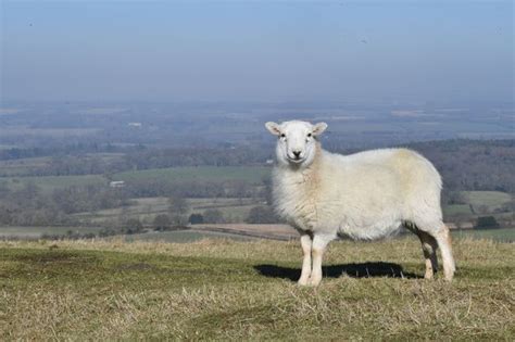 Met Office forecasts sunshine and highs of 21C for Berkshire bank ...