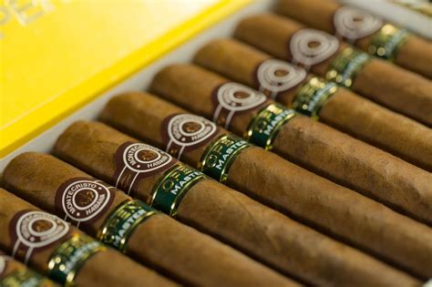 Cigar Storage Guide | Tips & Tricks | Havana House