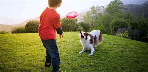 Jugando y aprendiendo con tu perro – Capu y Bigotes