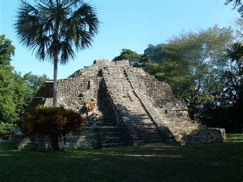 Chacchoben Mayan Ruins, near Costa Maya, Majahual | Costa maya, Costa maya mexico, Mayan ruins