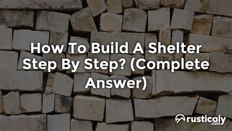 How To Build A Shelter Step By Step? (Answer Inside!)