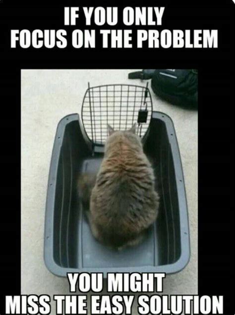 If you only focus on the problem, you might miss the easy solution. - RealFunny