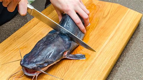 How Do You Fillet A Catfish ?Guide For Filleting A Catfish - Kitchen ...