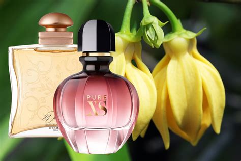 10 Best Perfumes With Ylang Ylang | Perfume, Best perfume, Perfume collection fragrance