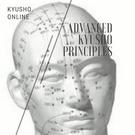 Advanced Kyusho Jitsu Principles - Limited Time Offer