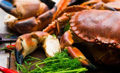 Brown and White Crab Meat: What’s the Difference? | Northern Delights