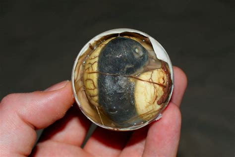 How To Eat Balut Like a Filipino