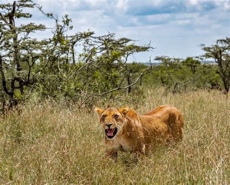 Ngorongoro Crater — Rapt Safaris