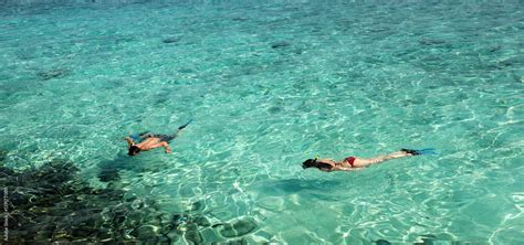 snorkeling in maldives Stock Photo | Adobe Stock