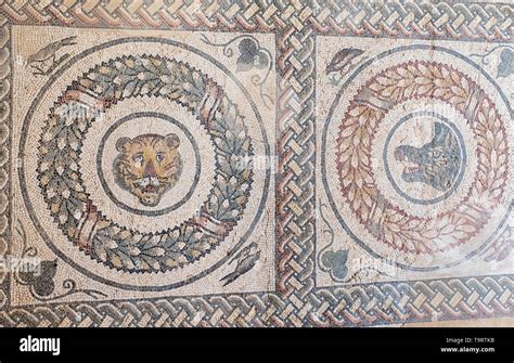 Ancient Roman mosaic, animal heads mosaic, Villa Romana del Casale, UNESCO World Heritage Site ...