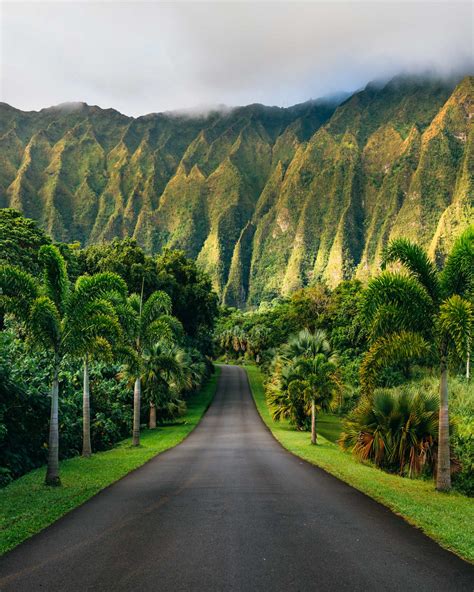 Hoomaluhia Botanical Garden Weather : Best 8 Botanical Gardens In Oahu To Explore Now This ...