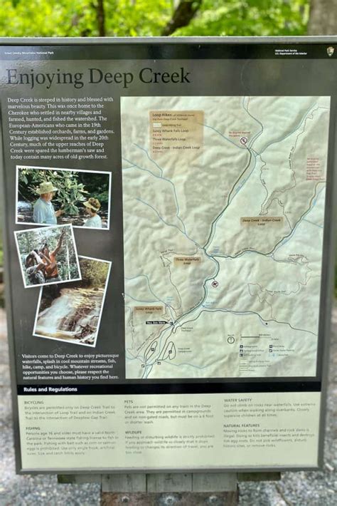 Deep Creek Hiking Trails (Great Smoky Mountains) - Champagne Tastes®