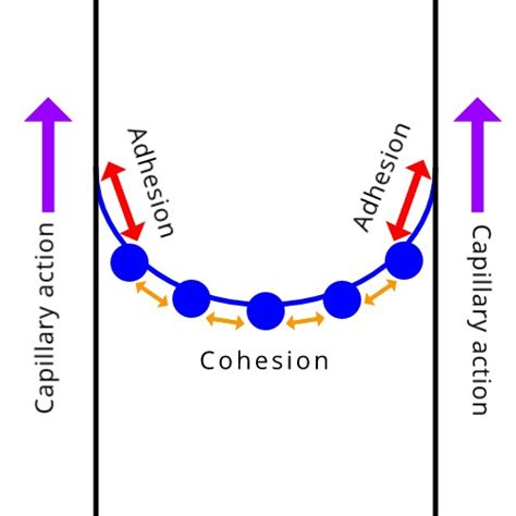 Water | Chemistry | Visionlearning