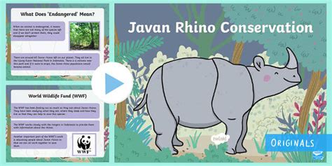 FREE! - Javan Rhino Conservation PowerPoint (teacher made)